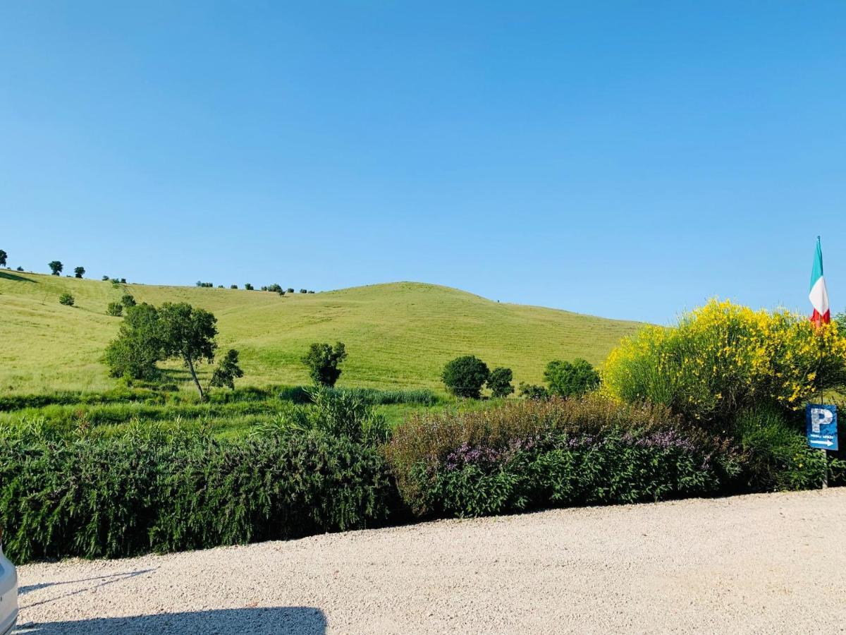 8380 Agriturismo L'Oleandro Montemerano Extérieur photo