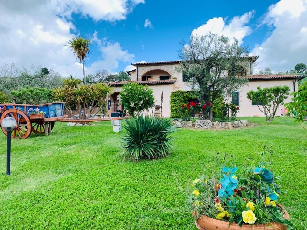 8380 Agriturismo L'Oleandro Montemerano Extérieur photo